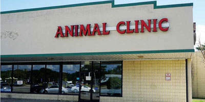 How a fixer-upper practice might be just what the veterinarian ordered
