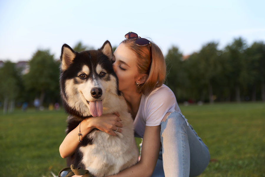 Human-animal bond the focus of National Pet Week