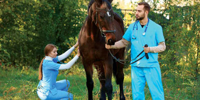 Veterinary gender wage disparities—Why planet Venus pays less (and what to do about it)