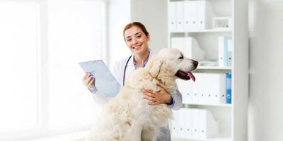 GI issues tricky to diagnose, treat