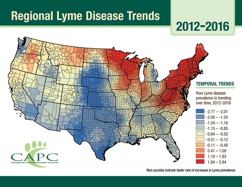 New Capc Study Shows Lyme Disease Is Spreading Veterinary Practice News