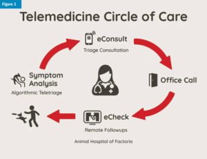 Graphic showcasing the Telemedicine Circle of Care from Symptom Analysis to eConsult to Office Call to eCheck to pet parent enjoying the fun with their pet.