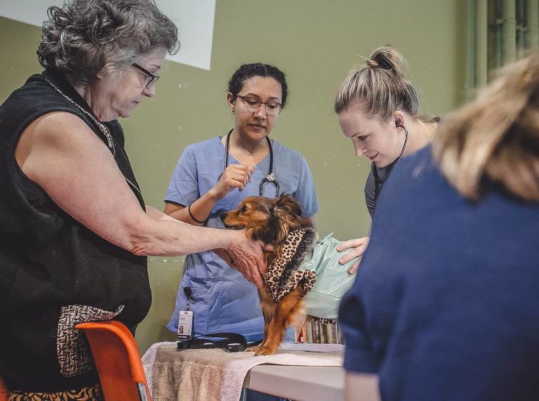 OSU to build 35,000sf veterinary clinic