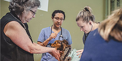 OSU to build 35,000-sf veterinary clinic