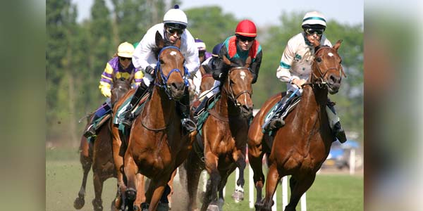 Proposed race horse bill draws criticism, debate