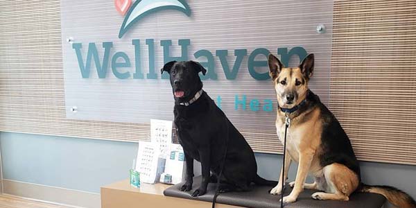 WellHaven Pet Health builds 12 AAHA-accredited hospitals