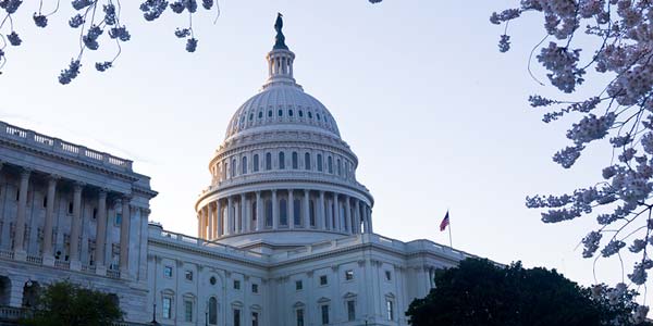 AAVMC issues call for proposals