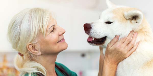 AVMA welcomes return of health plan