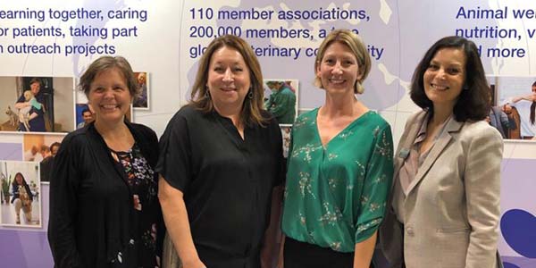 Fear Free and WSAVA partner on global education