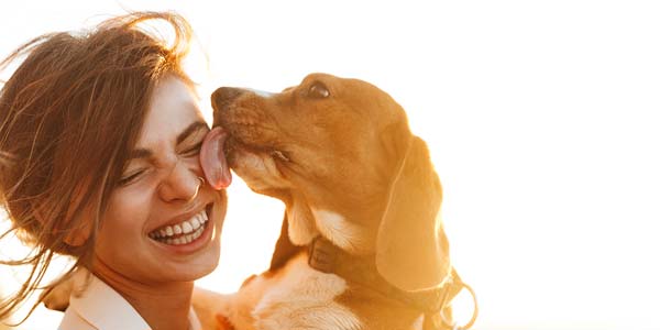 LifeLearn partnership supports human-animal bond research