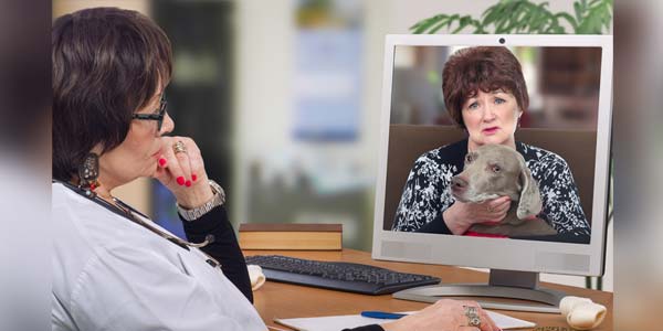 Telemedicine provider expands reach through purchasing group