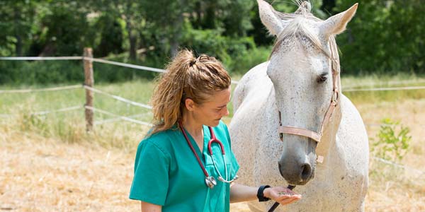 Zoetis strengthens equine portfolio with acquisition