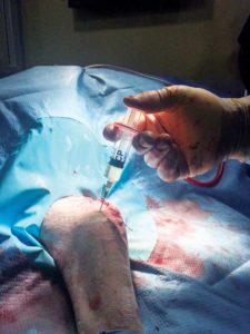 Blood is collected for platelet-rich plasma (PRP) therapy (left). Separating the PRP from the sample. PRP is injected into the patient. Photos courtesy Caledon Mountain Veterinary Hospital