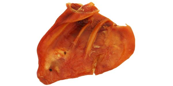 Pig ears linked to human cases of salmonellosis