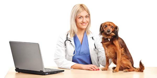 MightyVet granted nonprofit status