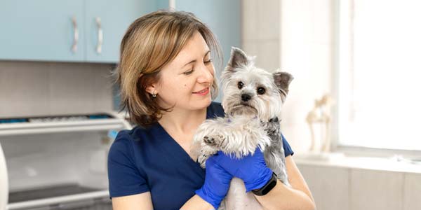 Petco names new regional partners