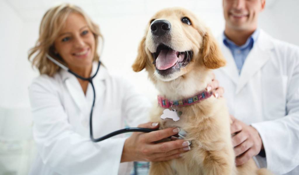 VCA launches 35 cancer centers across North America