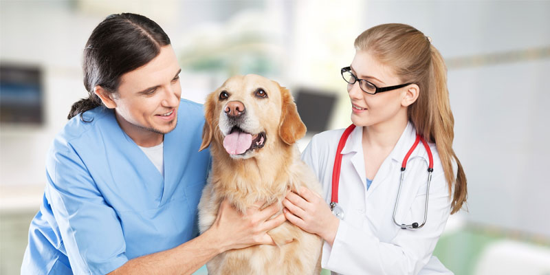 New training initiative to focus on better communication skills