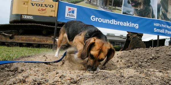 Hill’s nutrition facility to focus on small dogs