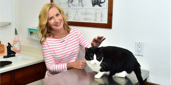 Royal Canin’s celebrity partnership supports feline veterinary health