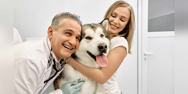 Owners spending more than ever on their pets