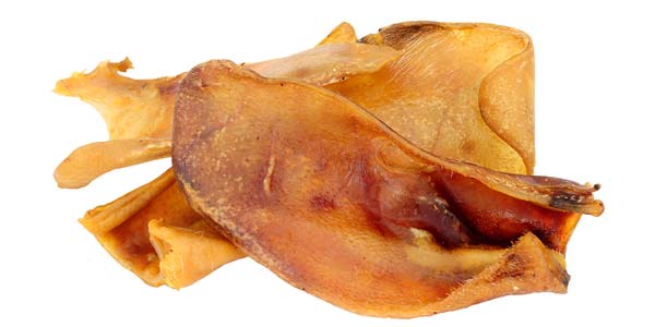 Human <i>Salmonella</i> cases linked to pig ears climb to 143