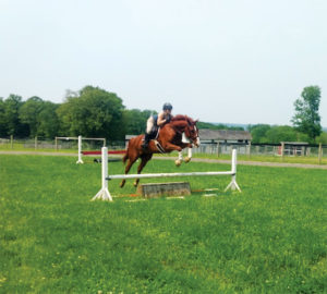 Runner-up: Straight from the horse's mouth