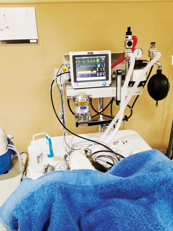 Understanding capnography and anesthesia
