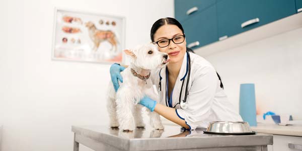 N.J. clinic named AAHA-Accredited Practice of the Year