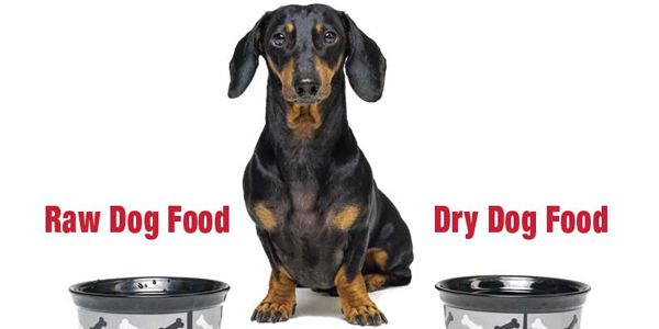 mr raw dog and cat food