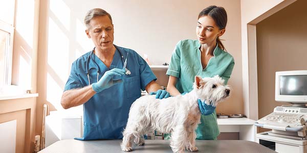Merck marks three million rabies vaccine donations