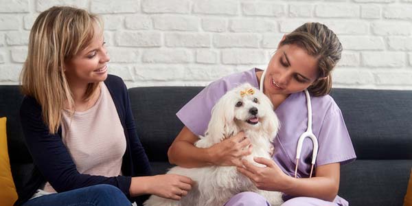 Banfield campaign pushes industry-wide inclusion for Hispanics