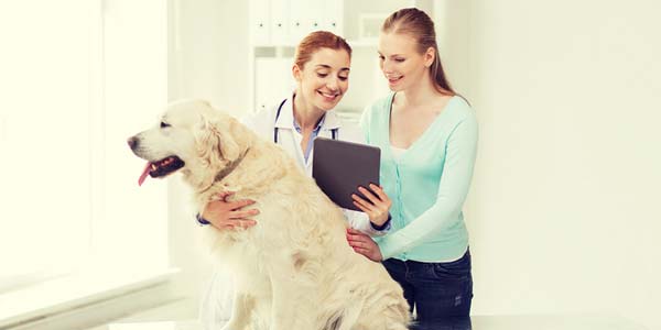 New Kindred website offers insight on common conditions