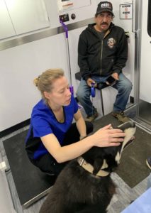 Veterinarian Julia Hughes assessing a dog in Wiikwemkoong.