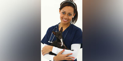 Making a case for a veterinary nurse associate