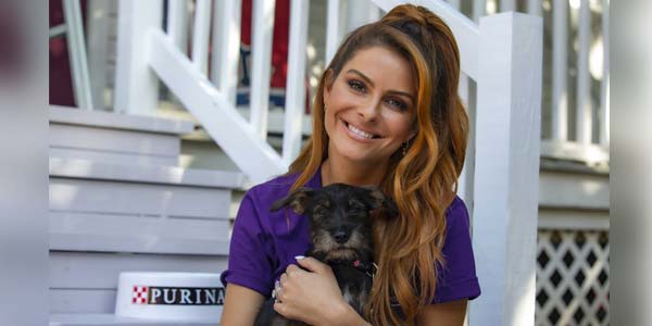Purina donates $500k to domestic violence initiative