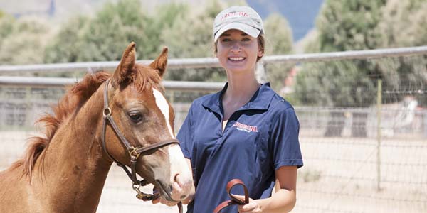 UA veterinary school gets AVMA approval