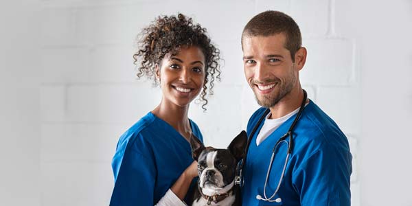Economic state of animal health industry remains strong, for now