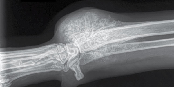What’s Your Diagnosis?