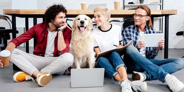 Pets impact how we shape communities