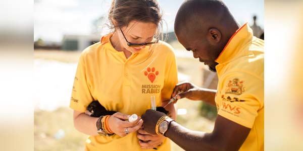 Global groups fight rabies using One Health approach