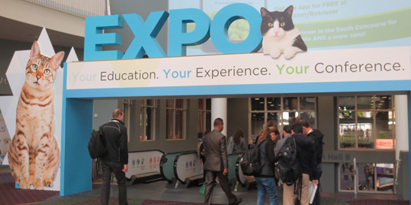 Adoptive immunotherapy, early cancer detection among VMX 2020 topics