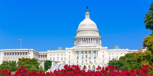 Senate votes to make animal cruelty a felony
