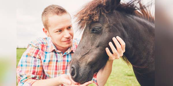 Assistance animal laws in need of clarity