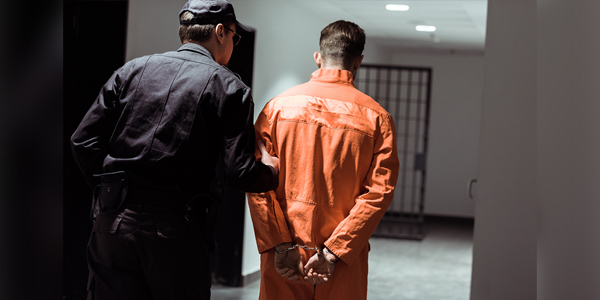Animal cruelty now a federal crime