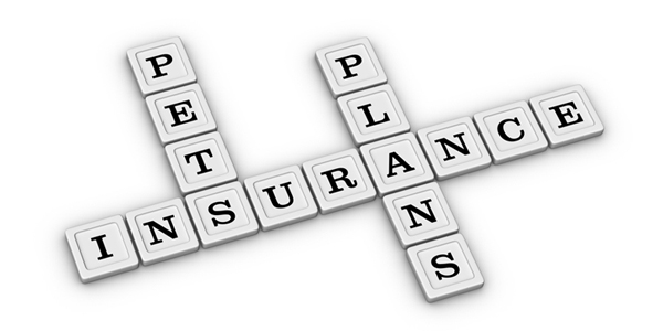 Trupanion marks one million veterinary invoices this year