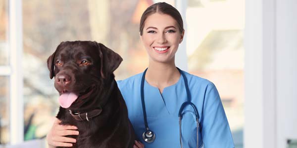 Fear Free certification increases patient visits
