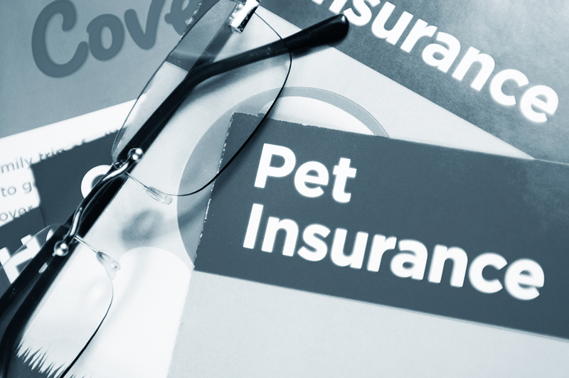 Metlife Acquisition Reflects Growing Pet Insurance Market