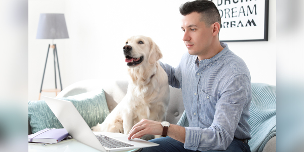 VCA streamlines care through personalized online platform