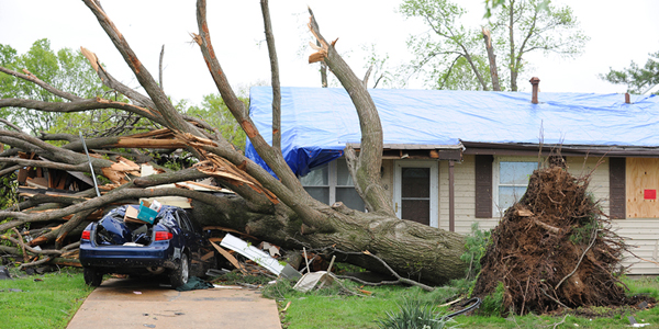 BluePearl, Banfield partnership expands relief program
